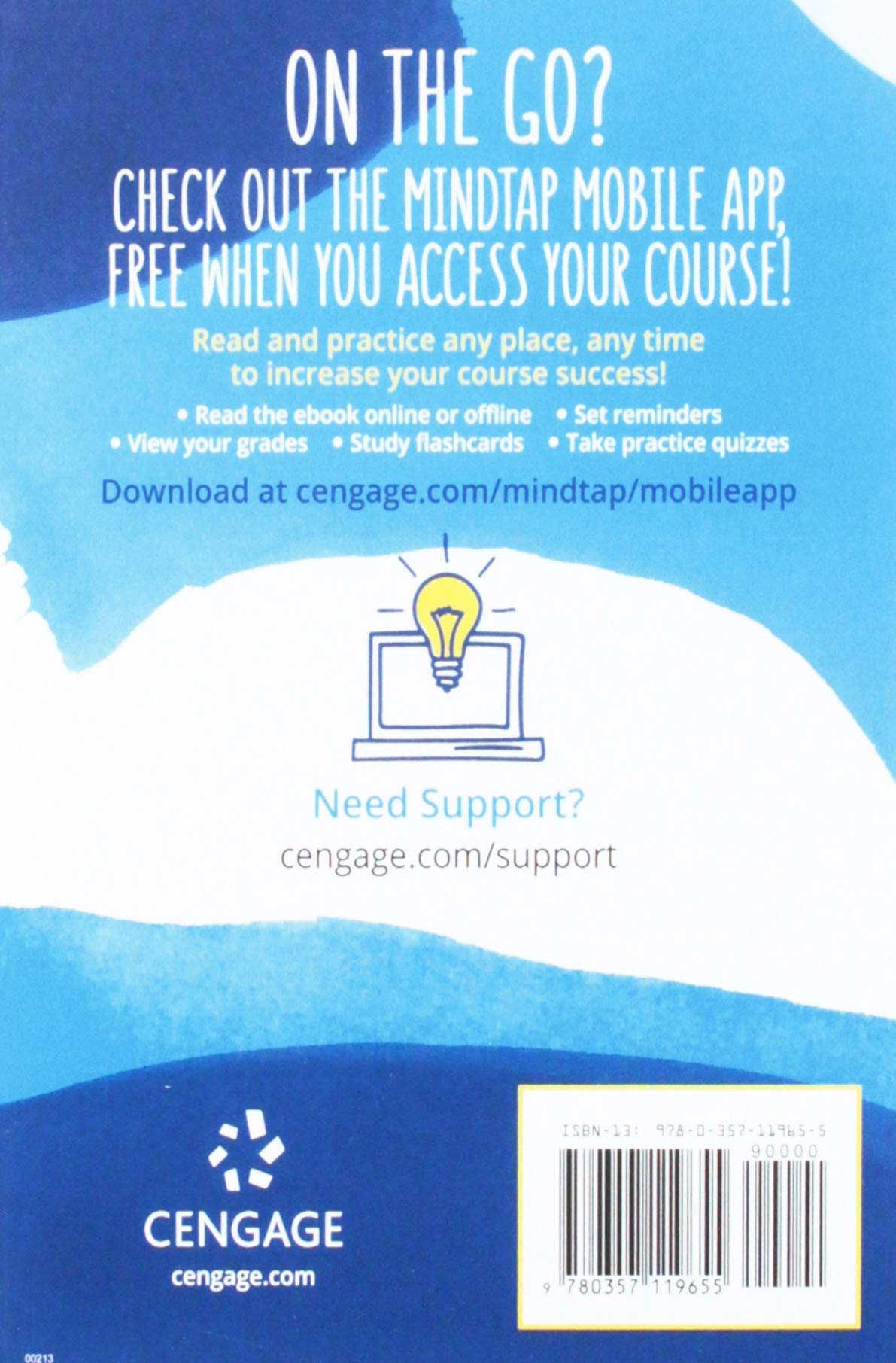 Illustrated MicrosoftOffice 365 & Office 2019 Introductory (MindTap Course List) - Image 2