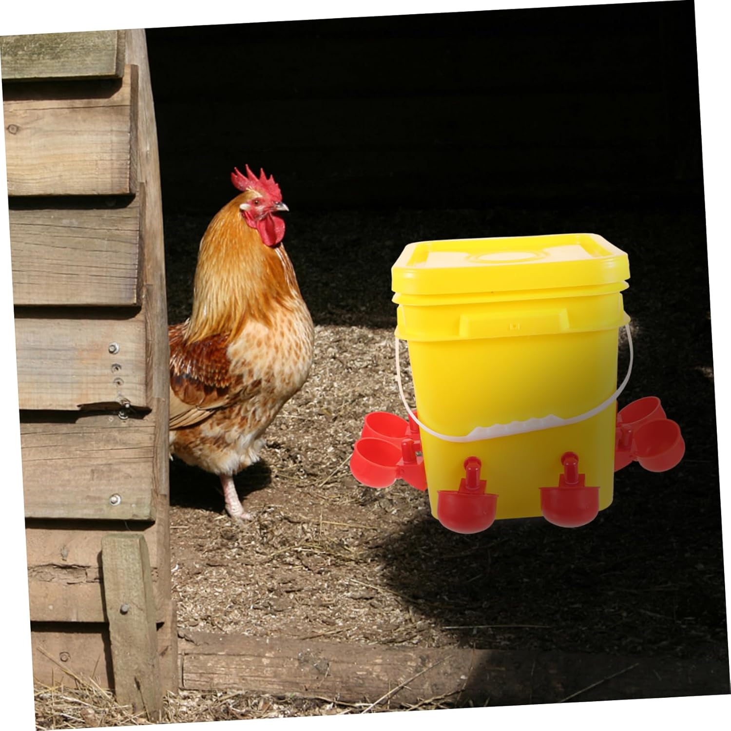 Automatic Chicken Feeder for Poultry Reusable Plastic Chick Feeder 2-3kg Capacity Suitable for Backyard Chickens Easy to Install and Clean