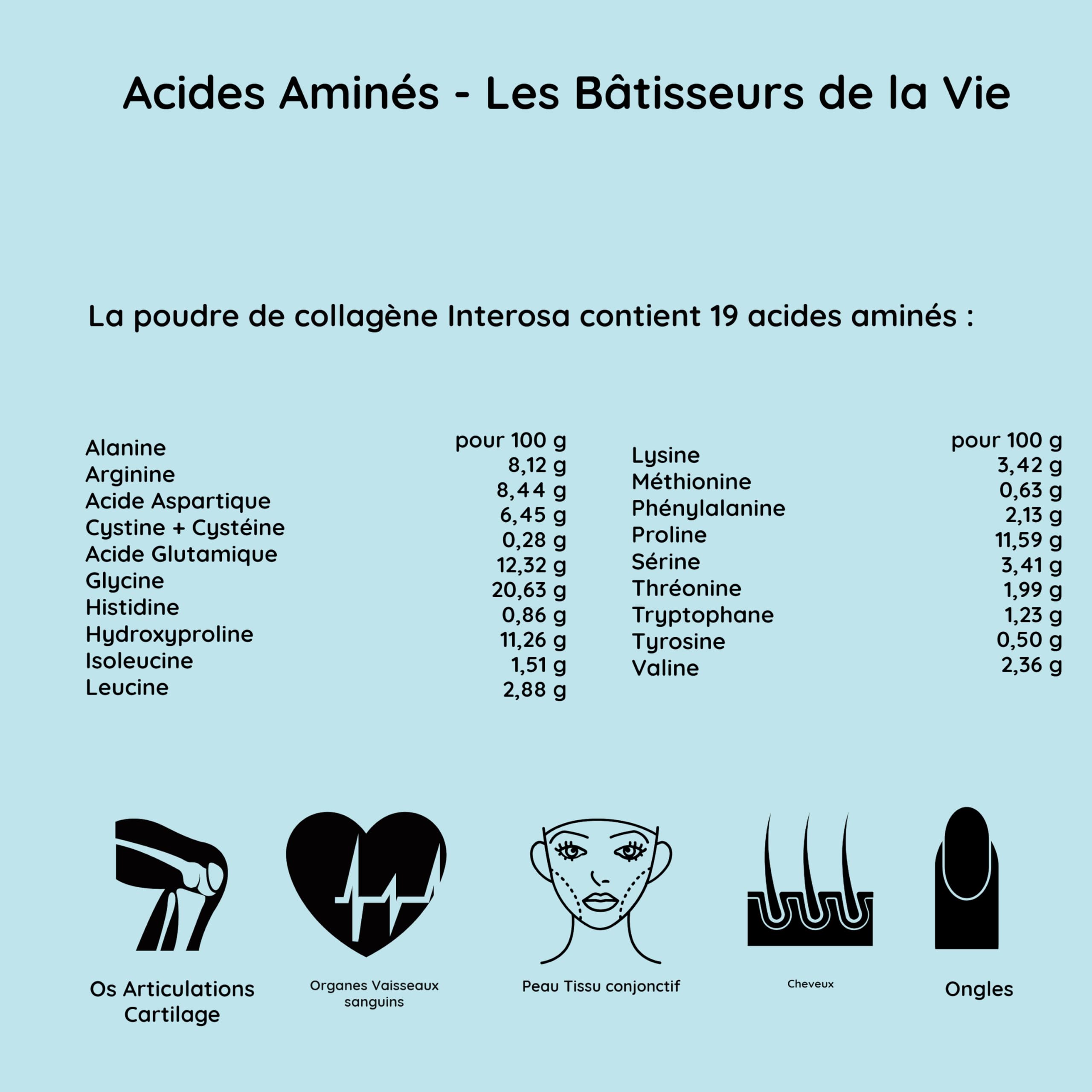 Poudre de collagène 500 g - peptides de collagène de type 1 2 3 5 10 - complexe de collagène premium insipide - protéine hydrolysée super soluble