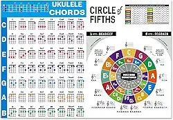 Pôster de acordes de ukulele para iniciantes e músicos, acessórios de ukulele para iniciantes e músicos, para iniciantes