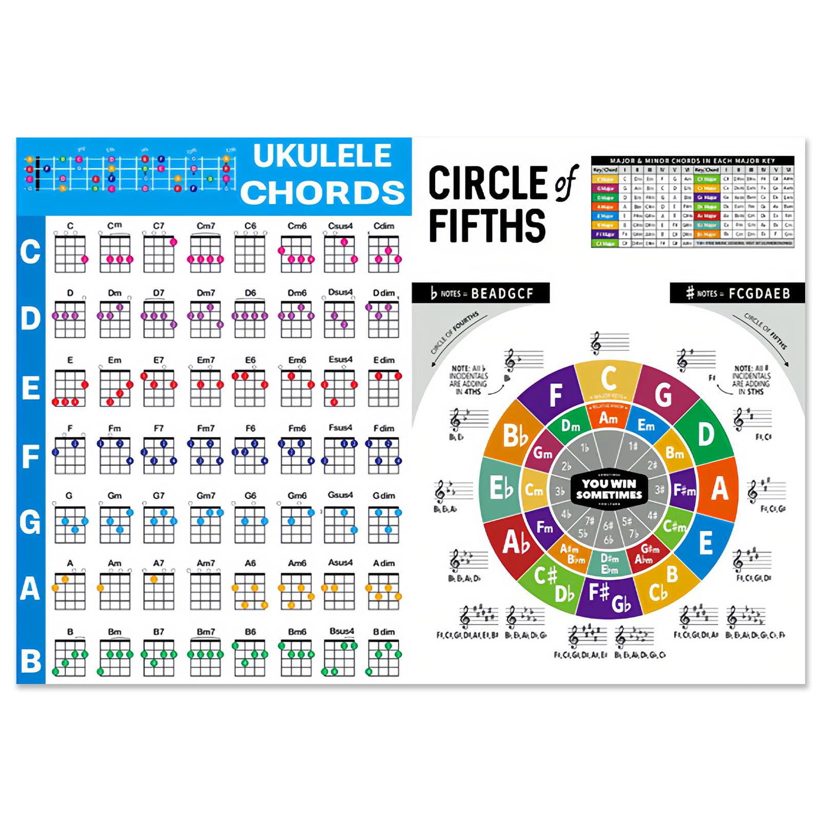 Musiin Ukulele Chord Fingering Chart Ukulele Chords Poster for Beginners and Musicians Ukulele Accessories for Beginners