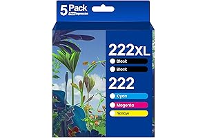 Epson 222XL High-Capacity Ink Cartridge Replacement