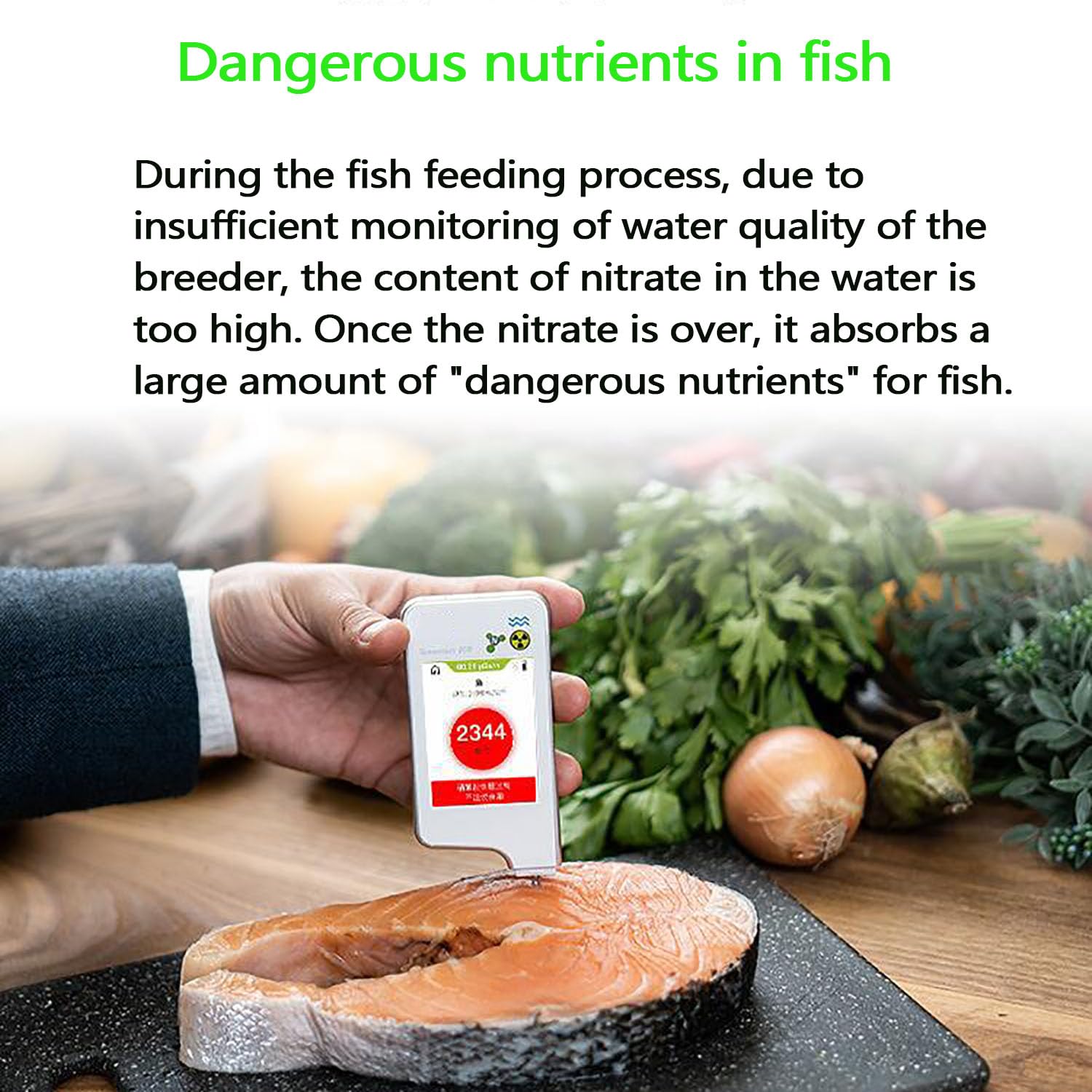 COYEUX Testeur de nitrates TDS pour l'eau, Plage de Mesure des nitrates : 0-9999 MG/kg, Lecture instantanée, numérique, pour Fruits, légumes, Viande, Poisson et Eau.