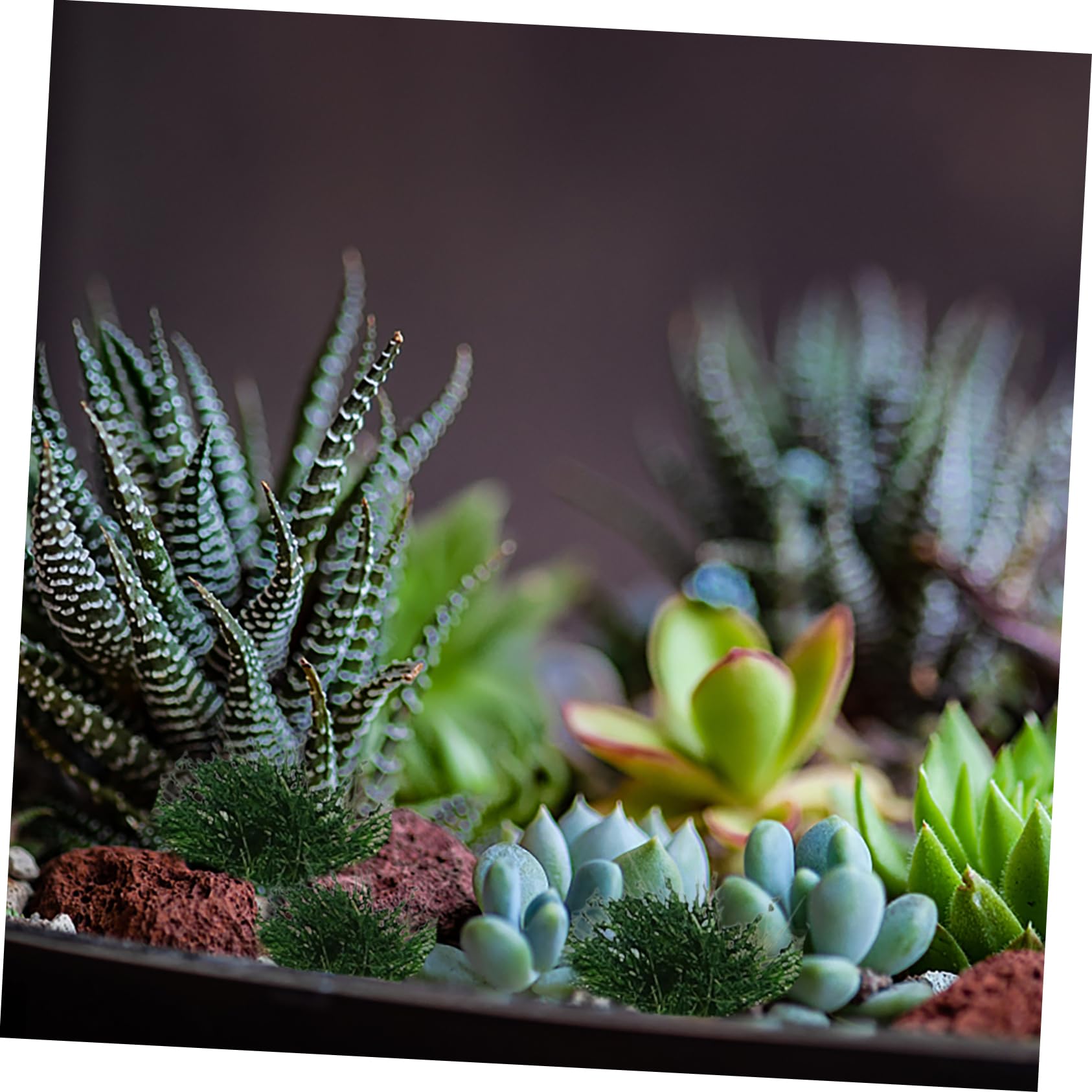 Cluster Irregolare Per Modellismo Decorazione Per Miniature e Resistente e Realistico