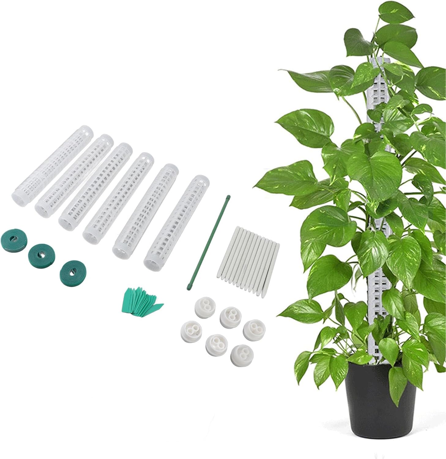 6 Pack 10 Inch Plastic Moss Poles, Stackable Moss Poles for Monstera Small and Medium Climbing Plants, Suitable for Indoor Potted Plants, Pothos, Philodendron