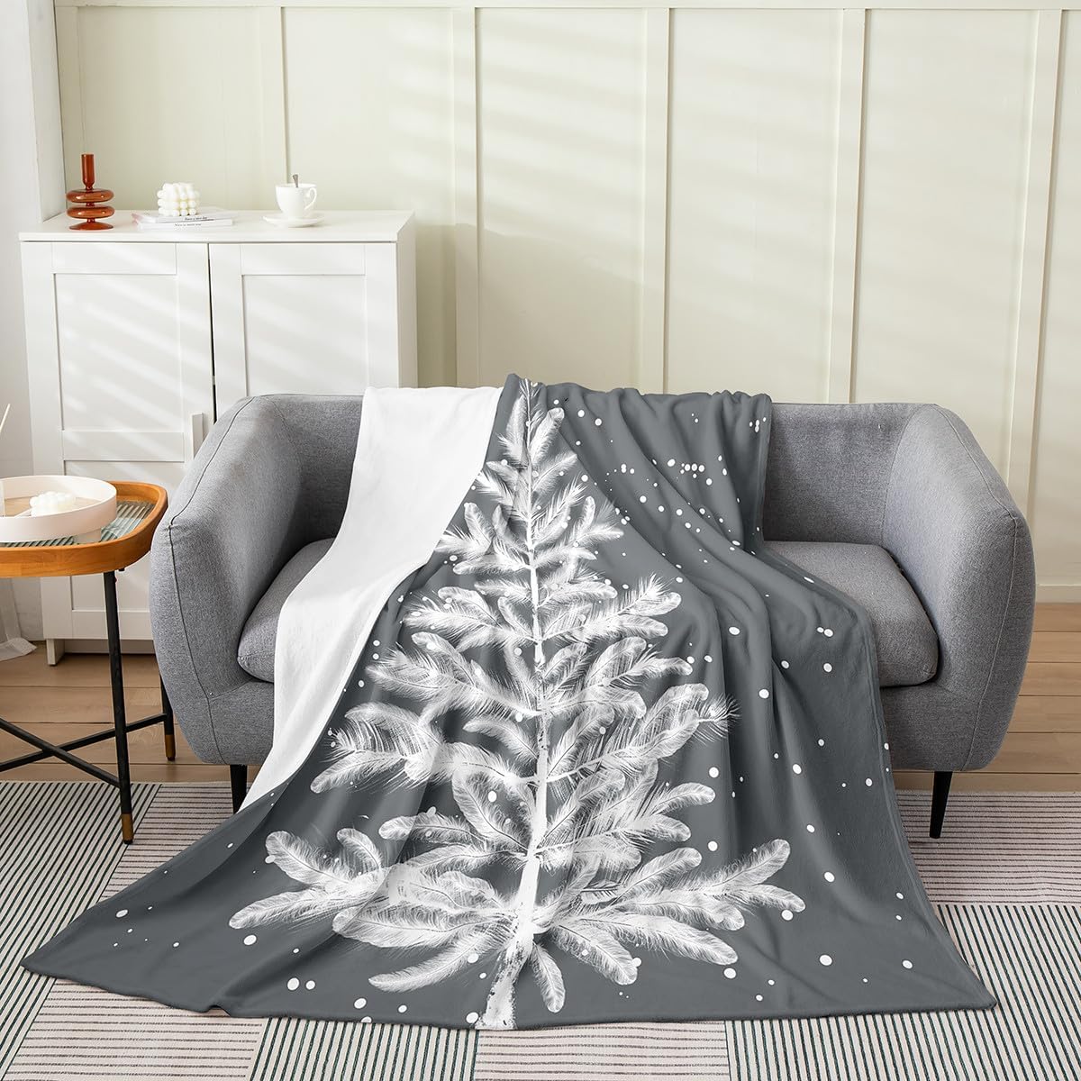 Erosebridal Christmas Fleece Blanket Grey,Modern Xmas Snowflake Throw Blanket for Teens Adult Bedroom Sofa Couch,Winter Iced Snowy Flowers Fuzzy Blanket,Soft Microfiber Plush Bed Blanket Twin 60x80