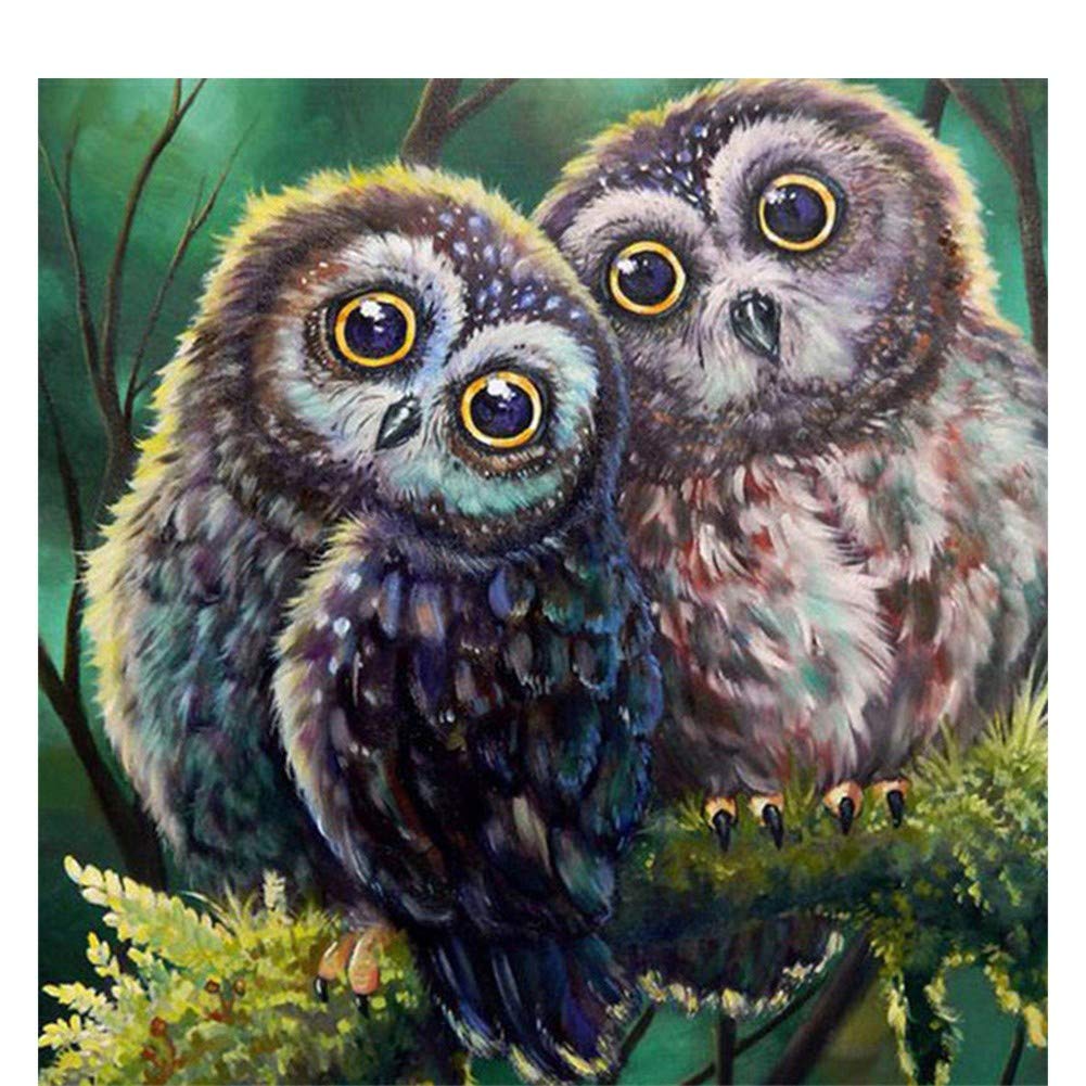 DCIDBEI 30x30CM 4 Pezzi 5D Speciale Diamond Painting Fiori, Quadro Strass Diamante Parziale, Kit Punto Croce Diamante Uccelli, Mosaico Artigianato Adulto, Decorazione Ufficio Camera da Letto
