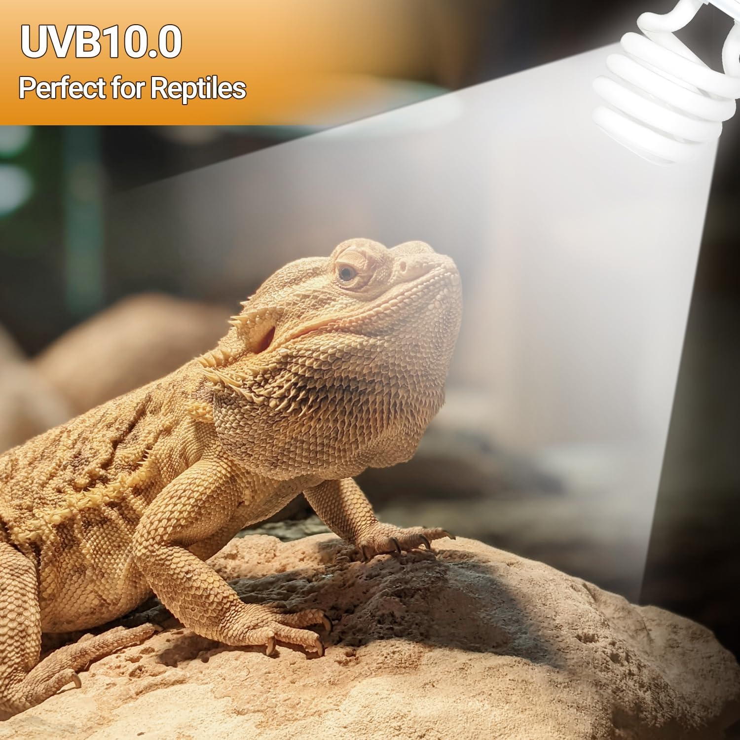 Oiibo 100W Reptile Heat Lamp Blub and 26W 10.0 UVB Reptile Light Combo Pack, Basking Spot Light UVA Heat Lamp Bulb and 26W Energy Saving UVB UVA Light for Reptiles Bearded Dragon,Turtles,Lizard