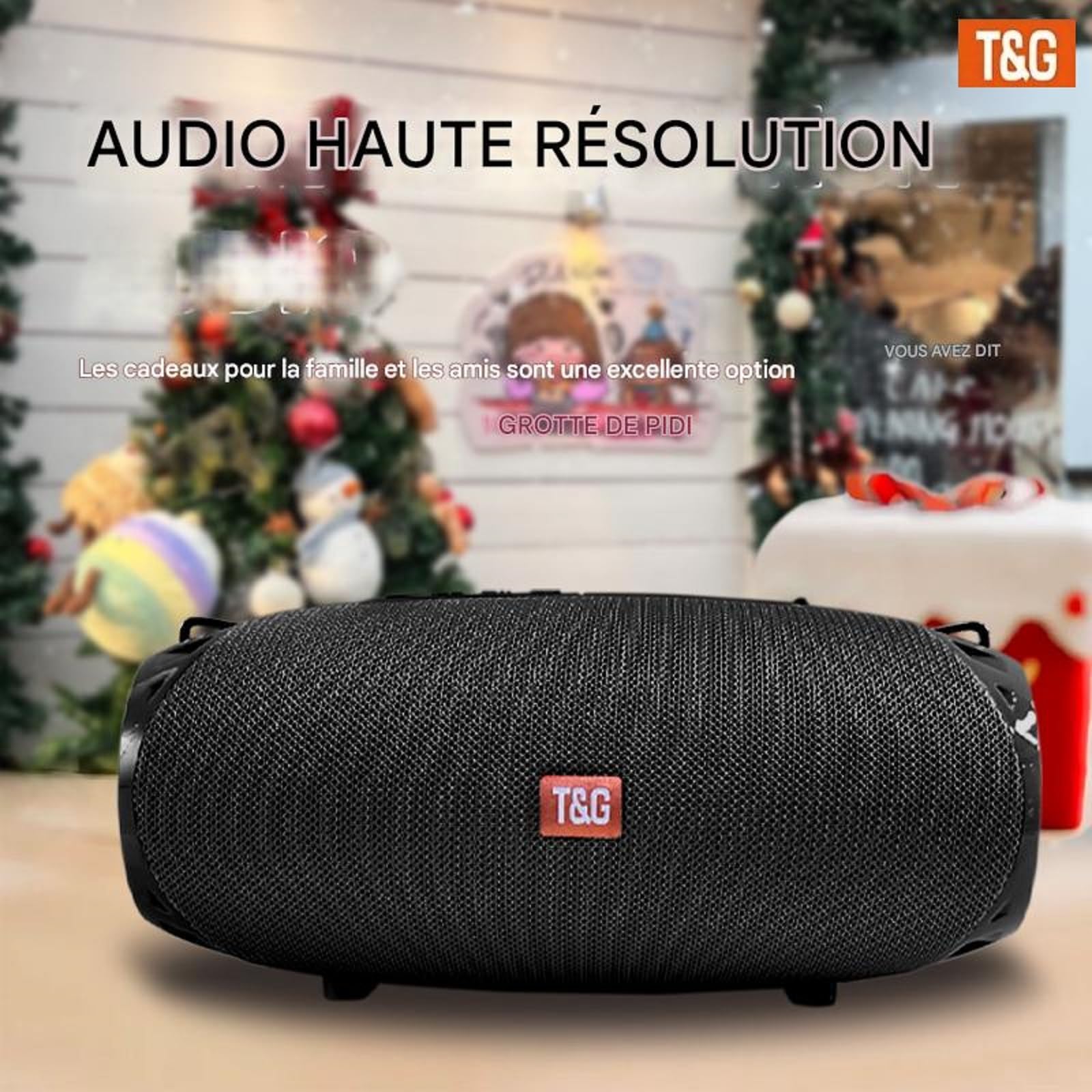 Enceinte Bluetooth Portable T&G TG534 – Son Stéréo 30W, étanche IPX4, Autonomie 12h, Fonction TWS, Idéale Pour Voyages Et Extérieur