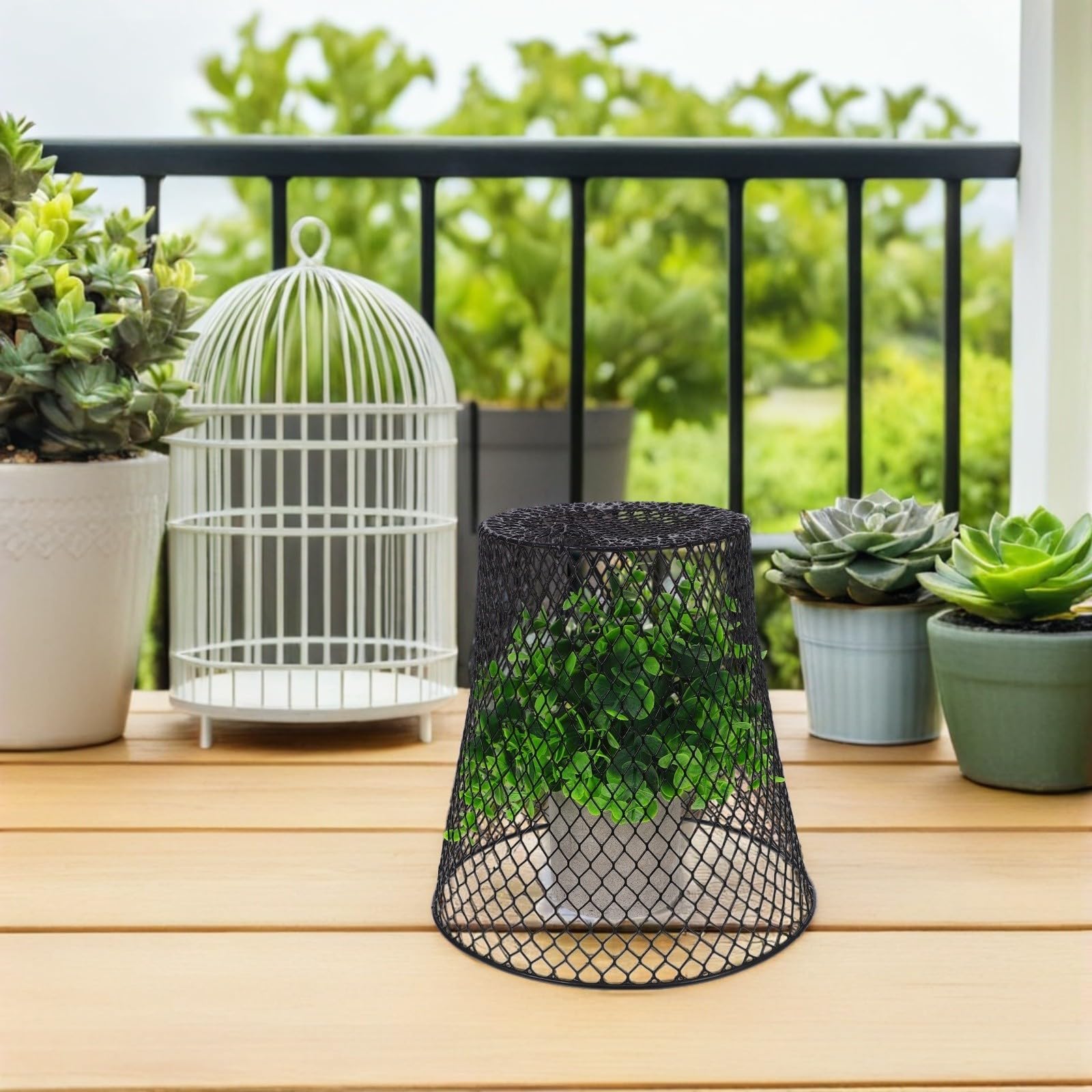 Toyvian Cloche de Jardin en Fil de Fer, Cloche pour Plantes, Fer Noir, pour Semis et Légumes, pour Petits Balcons et Grands Champs, Protection et Observation Faciles