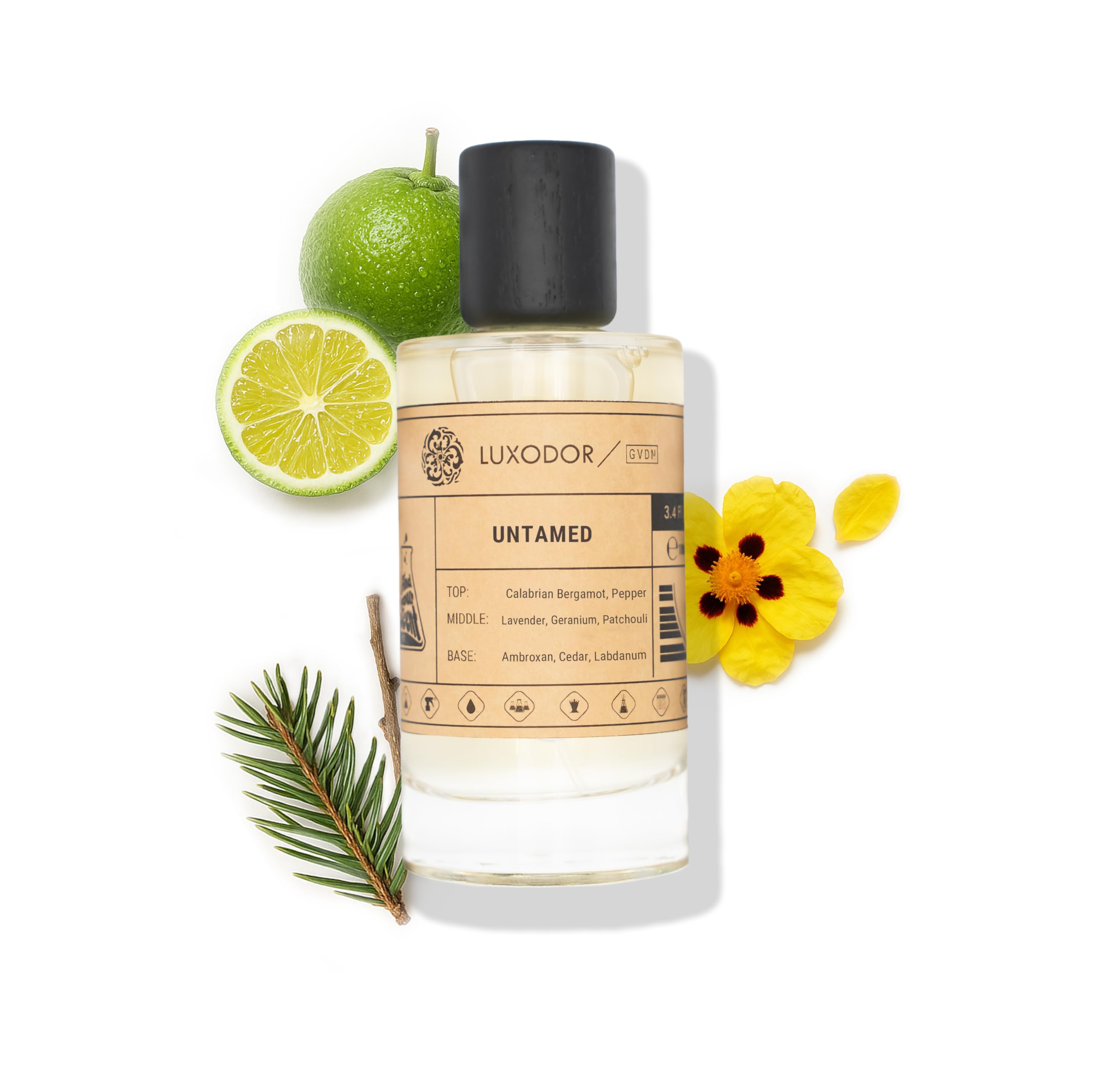 Luxodor Inspired by D. S.auvage Eau De Parfum – Untamed Perfume 3.4 fl oz (100ml) with Concentrated Oil 10 ml Perfume for Men Long Lasting Fragrance