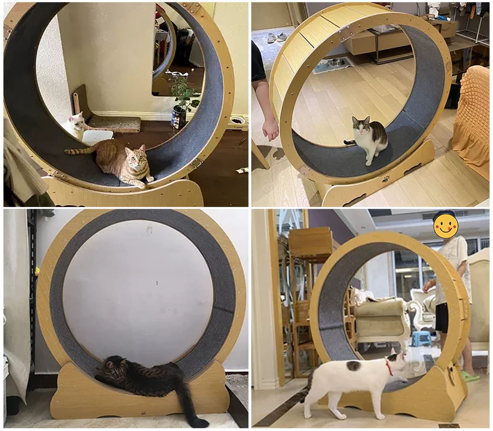 Amazon.co.jp: 小型/中型/大型猫用ホイール エクササイザー