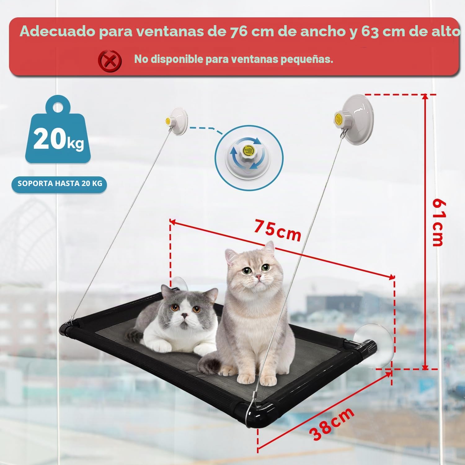 Dracarys Hamaca Gato Ventana | para Gatos Grandes de hasta 20 kg | Hamaca Reforzada con Fuerte Ventosa | para Tomar el Sol, Cama para Mascotas | para Grandes Ventanas