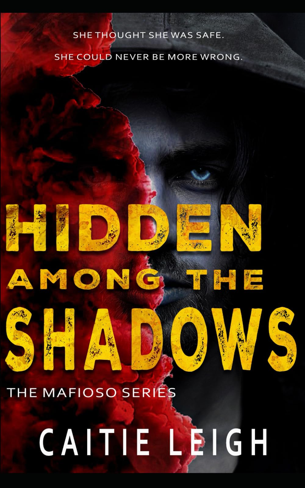 Hidden Among The Shadows: The Mafisos Series