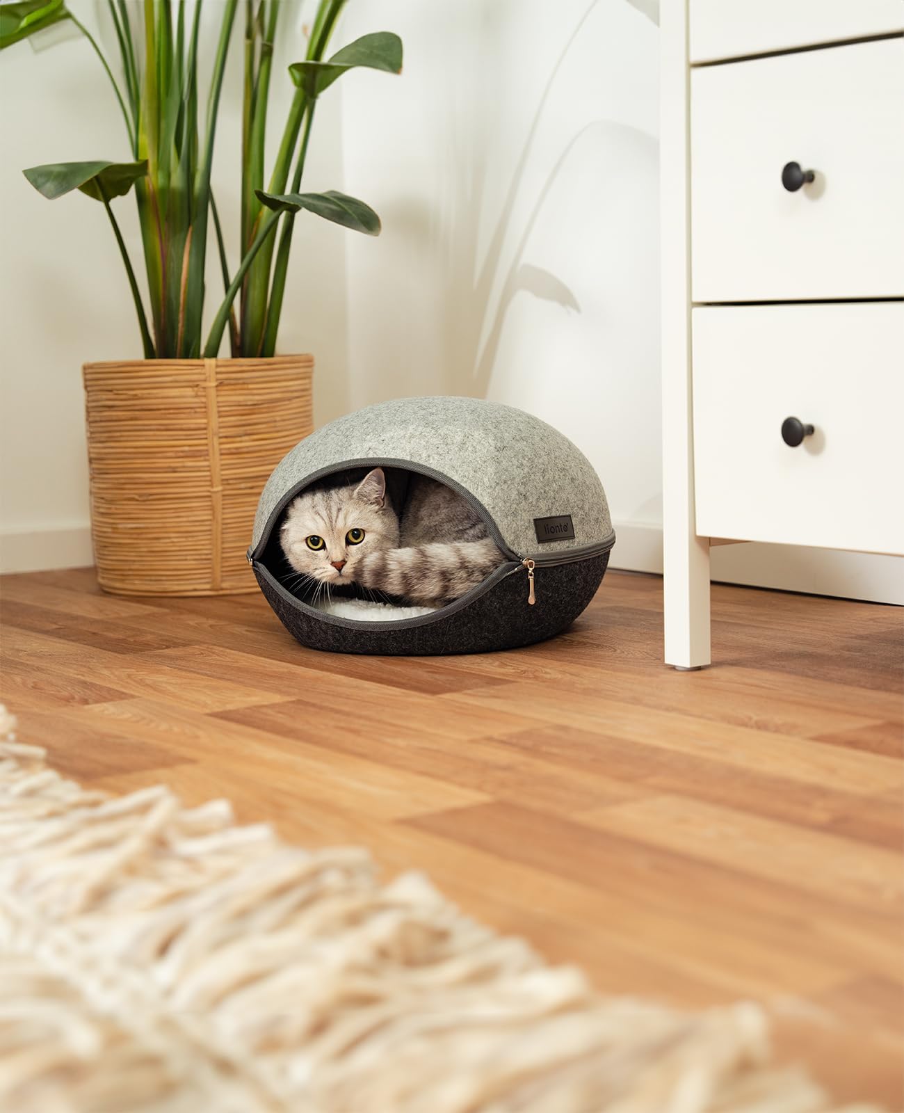 lionto Cuccia per gatti in feltro resistente con cerniera, tana accogliente 46x38x24 cm, letto moderno e confortevole con cuscino morbido e lavabile, grigio
