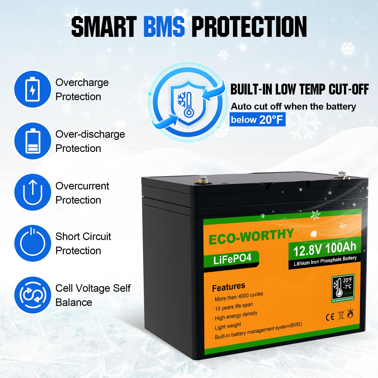 ECO-WORTHY 24V 1560W 0% VAT Solaranlage Komplettset Netzunabhängige,6kW·h/Tag Solarpanel System mit LiFePO4 für Wohnmobil: 4 * 12V 100Ah LiFePO4+8 * 195W Solarpanel+24V 3000W Inverter