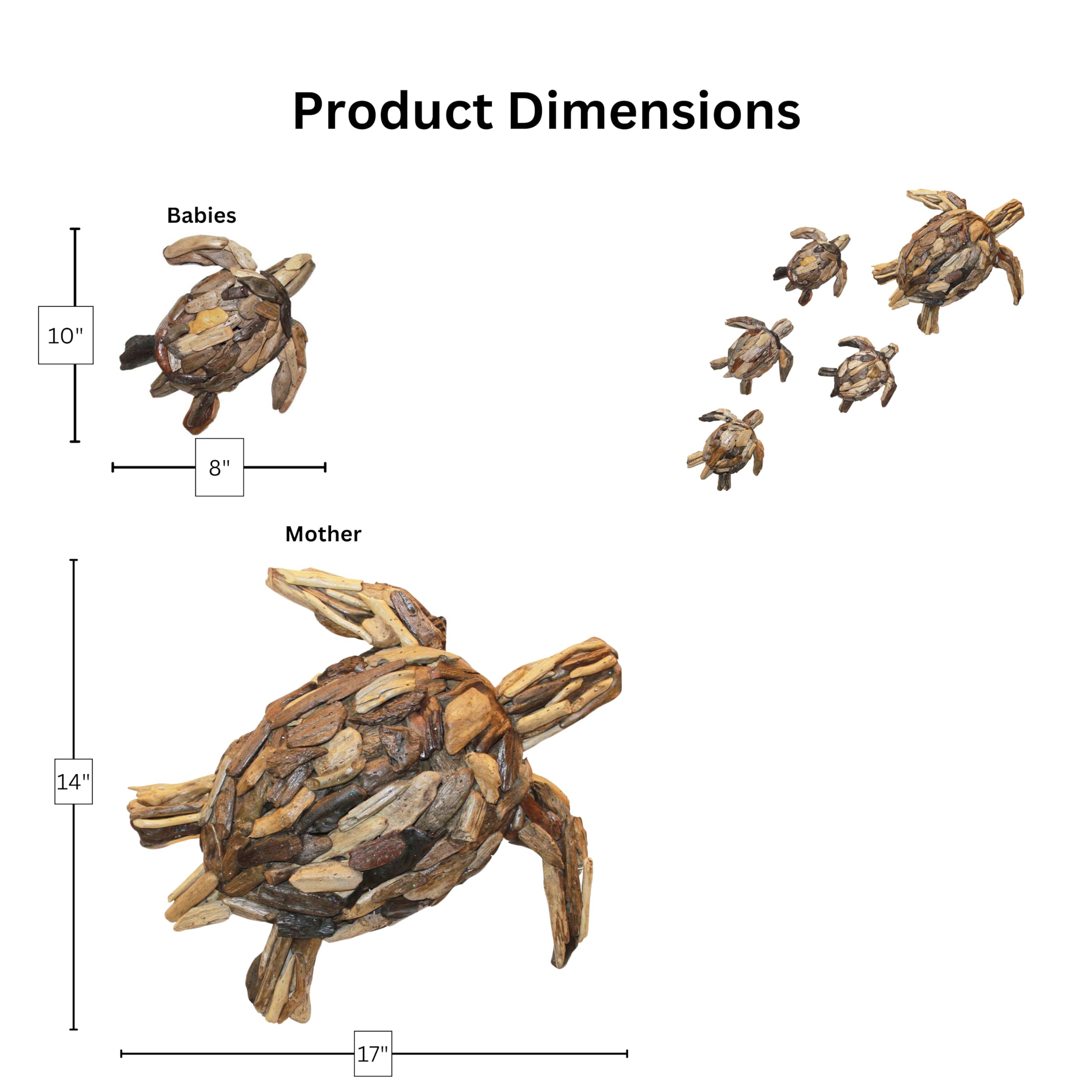 Amazon.com: Om Gallery Driftwood Wall Art, Mother Turtle, and