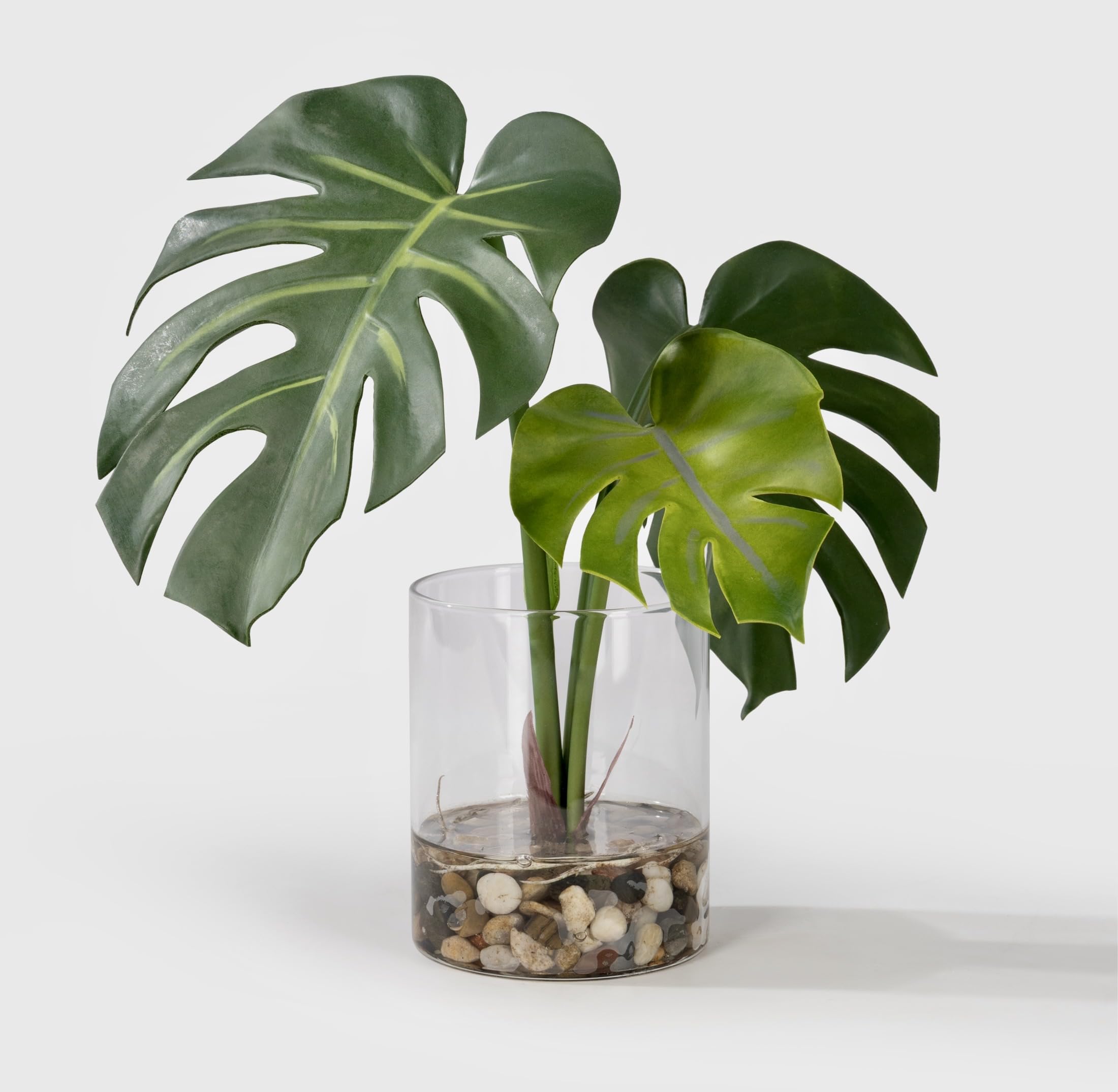 SUNPRAIRIE Plante artificielle réaliste en pot transparent avec de l'eau artificielle, larges feuilles de monstera, plantes artificielles d'intérieur et d'extérieur