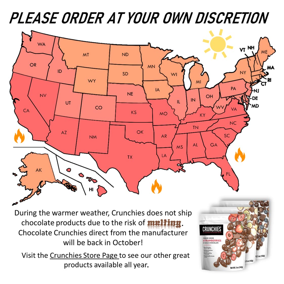 Crunchies Freeze-Dried Chocolate Covered Fruits - 100% All Natural Crispy Fruit Dipped in Premium Milk Chocolate, Non GMO, Kosher (Strawberries, 5 Ounce (Pack of 6))