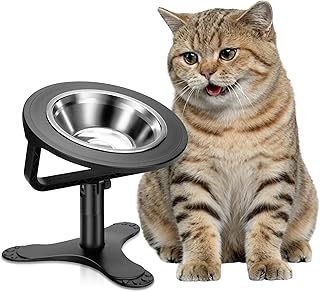 Raised Cat Bowls,Elevated Cat Bowls for Indoor Cats with Height-Adjustable Stand,Non-Slip Stainless Steel Cat Bowls,15° Tilted Cat Food Bowls (1 Pack)
