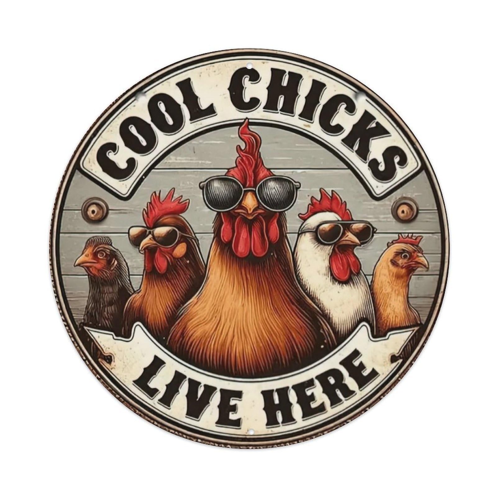 Cool Chicks Live Here Metal Tin Sign Plaque Wall Decor for Cafe, Club Bar, Office, Home Garden Round Metal Poster 8x8Inch