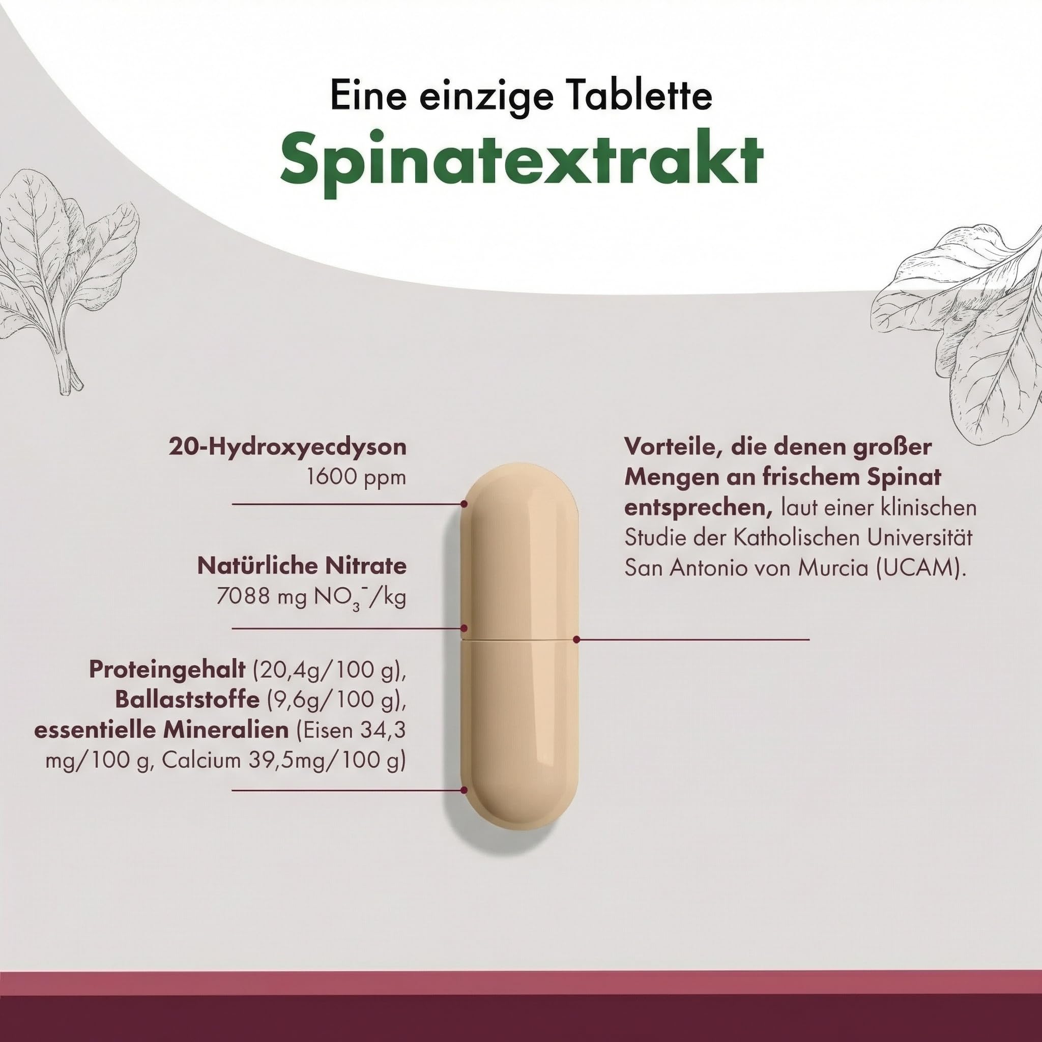 Granatum Plus - Spinatextrakt - 20-Hydroxyecdysone - Nahrungsergänzungsmittel - Stoffwechselwohlbefinden - Sportliche Leistung - Muskelmasseaufbau - 1 Box 60 Kapseln