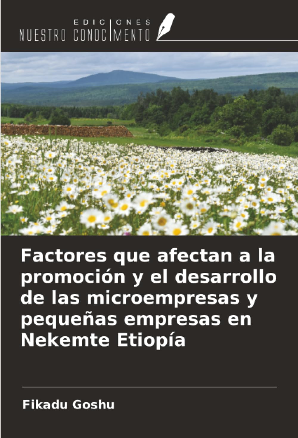 Factores que afectan a la promoción y el desarrollo de las microempresas y pequeñas empresas en Nekemte Etiopía