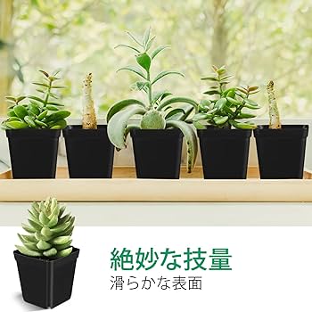 Amazon.co.jp: OUNONA 植物鉢 多肉鉢 サボテン鉢 おしゃれ 黒