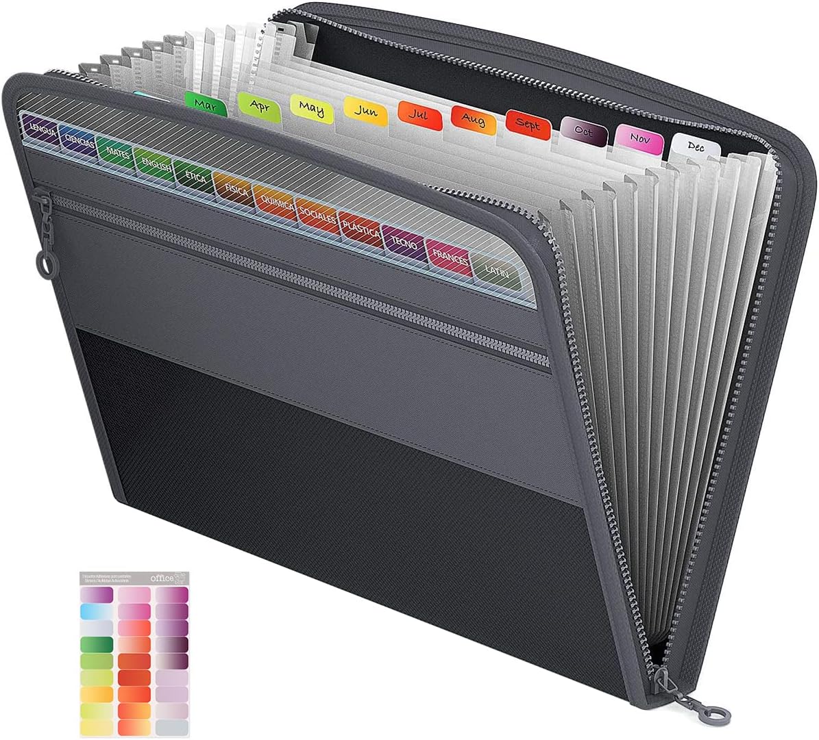 7 Archivadores A4 De Plástico Multicolor - 31x23.6x5.5 Cm, Con Etiquetas, Para Oficina O Casa