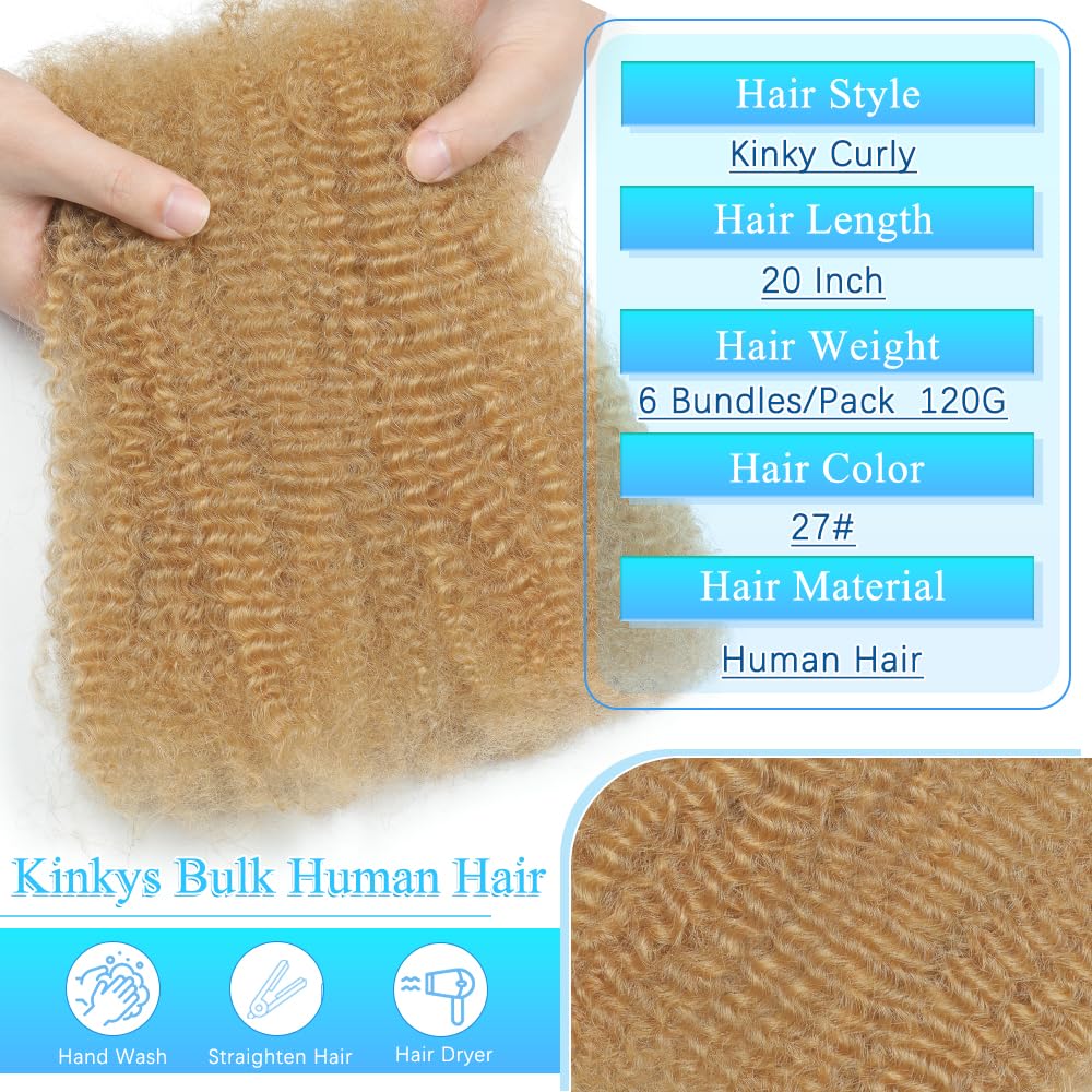 Afro Kinkys Bulk Human Hair 20 Inch Afro Kinky-Curly Human Hair Bulk for Twist Dreadlock Extensions Locs Repair Soft 4C Curly for Braids 6 Bundles 120 Gram Honey Blonde# image 2