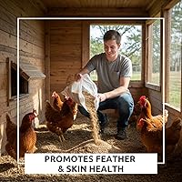 Vista 4 de World's Best - Baño de polvo de pollo, mezcla de ceniza de madera natural, arena y polvo fino, seguro para todos los pollos (2 libras)