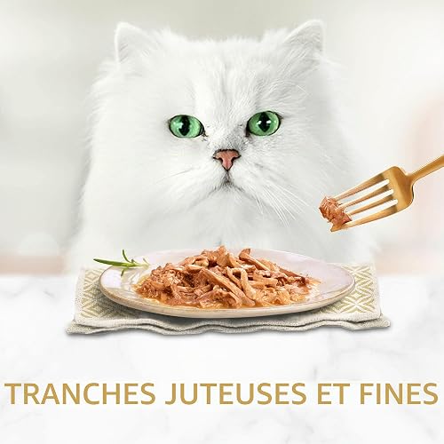 Gourmet Gold Lot de 4 Paquets de Nourriture pour Chat en Fines Bandes humides et juteuses (4 x 24 x 85 g) - 5