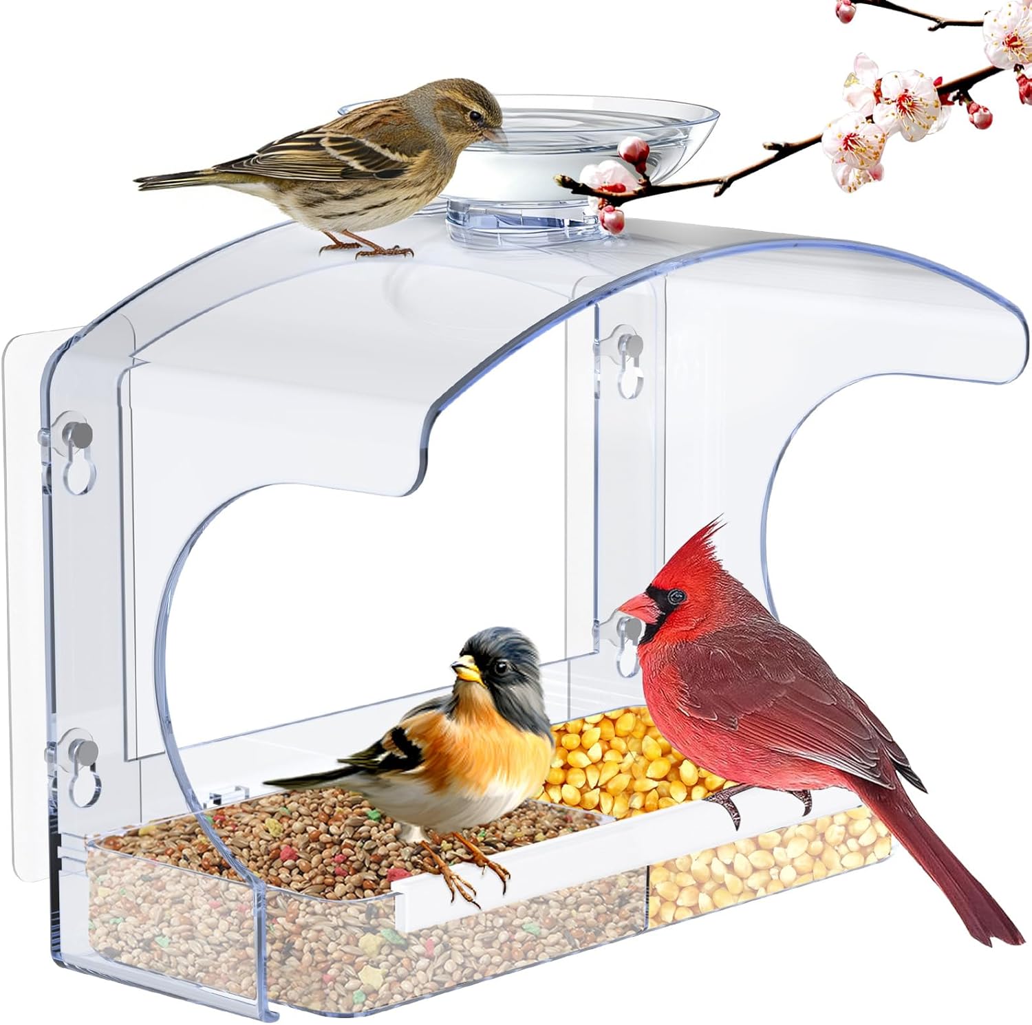 Goodeco Clear Window Bird Feeder - Outdoor Window Feeder with Bird Water Bowl & Strong Self-Adhesive Hooks for Outside Watchings - with a Brush, Easy to Clean, Ideal Gifts for Mom Parents