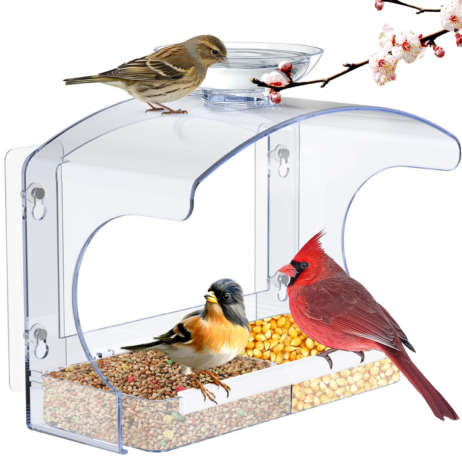 Goodeco Clear Window Bird Feeder - Outdoor Window Feeder with Bird Water Bowl & Strong Self-Adhesive Hooks for Outside Watchings - with a Brush, Easy to Clean, Ideal Gifts for Mom Parents