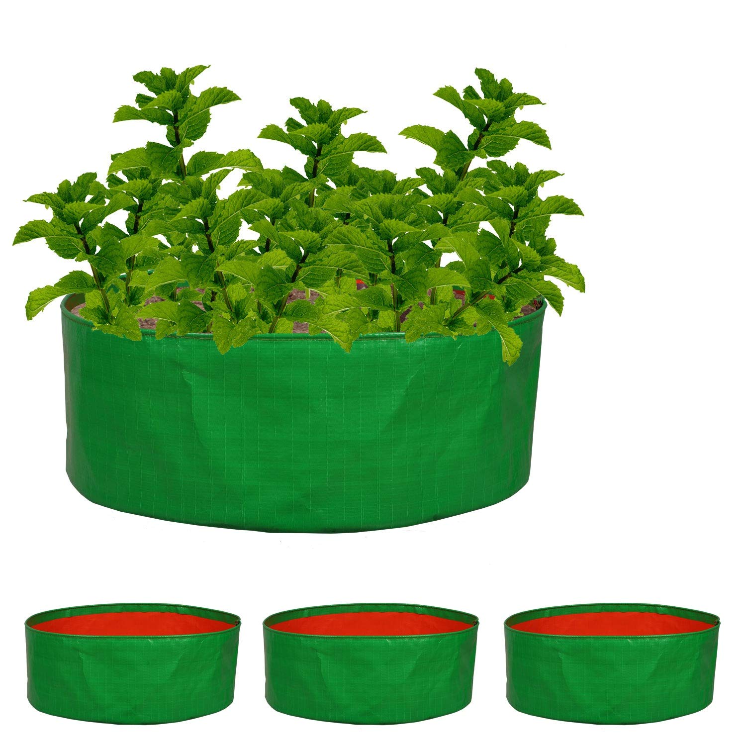 Nabaat HDPE Fabric 200 GSM Terrace Gardening Grow Bag for Vegetable Fruits Plants (Green & Orange, 15x6 Inch) - Pack 5 (B08H5TKYBF) Amazon Price History, Amazon Price Tracker