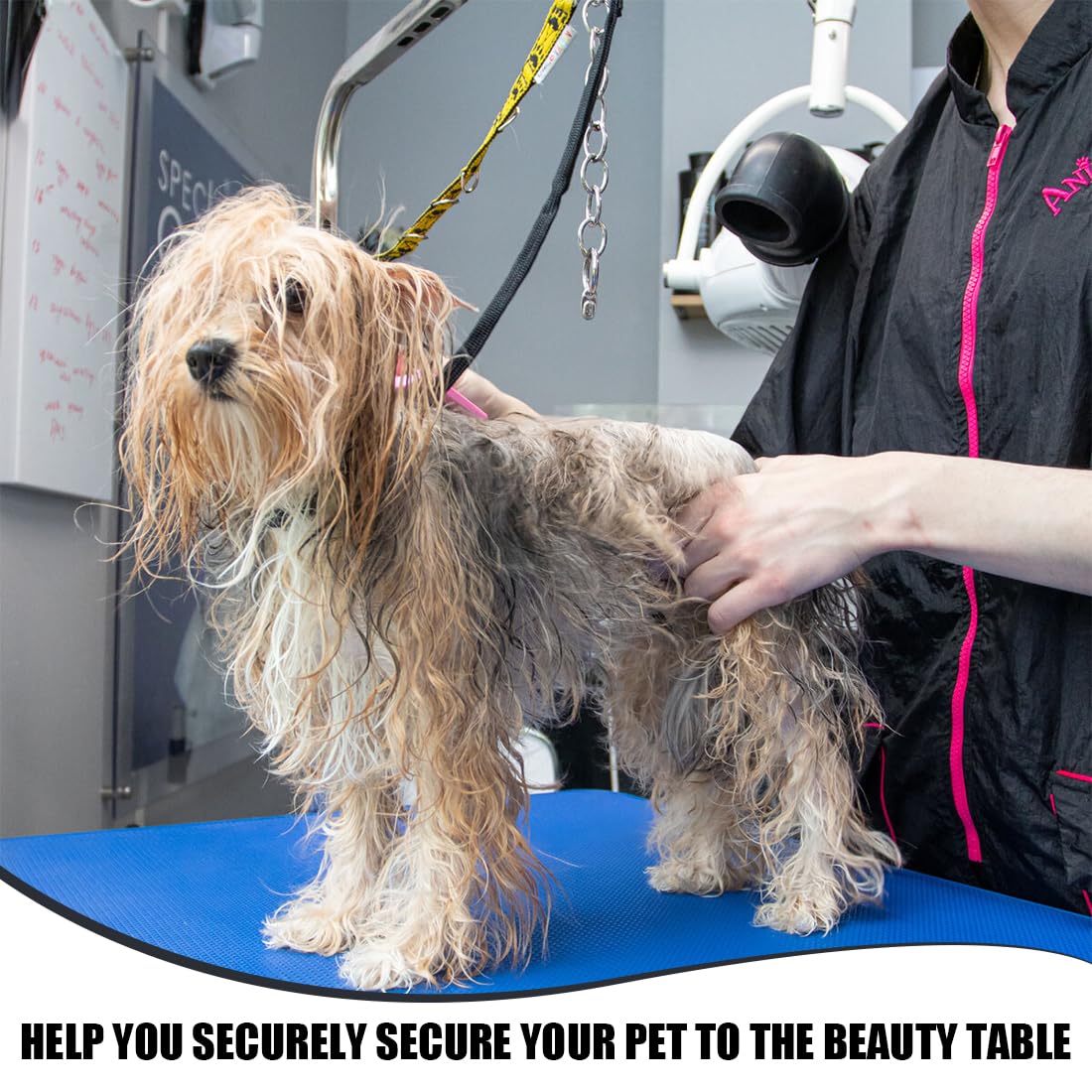 Guinzaglio Da Toelettatura Per Cani - 2 Pezzi, In Nylon, Regolabile, Per Bagno E Cura - Foto 10