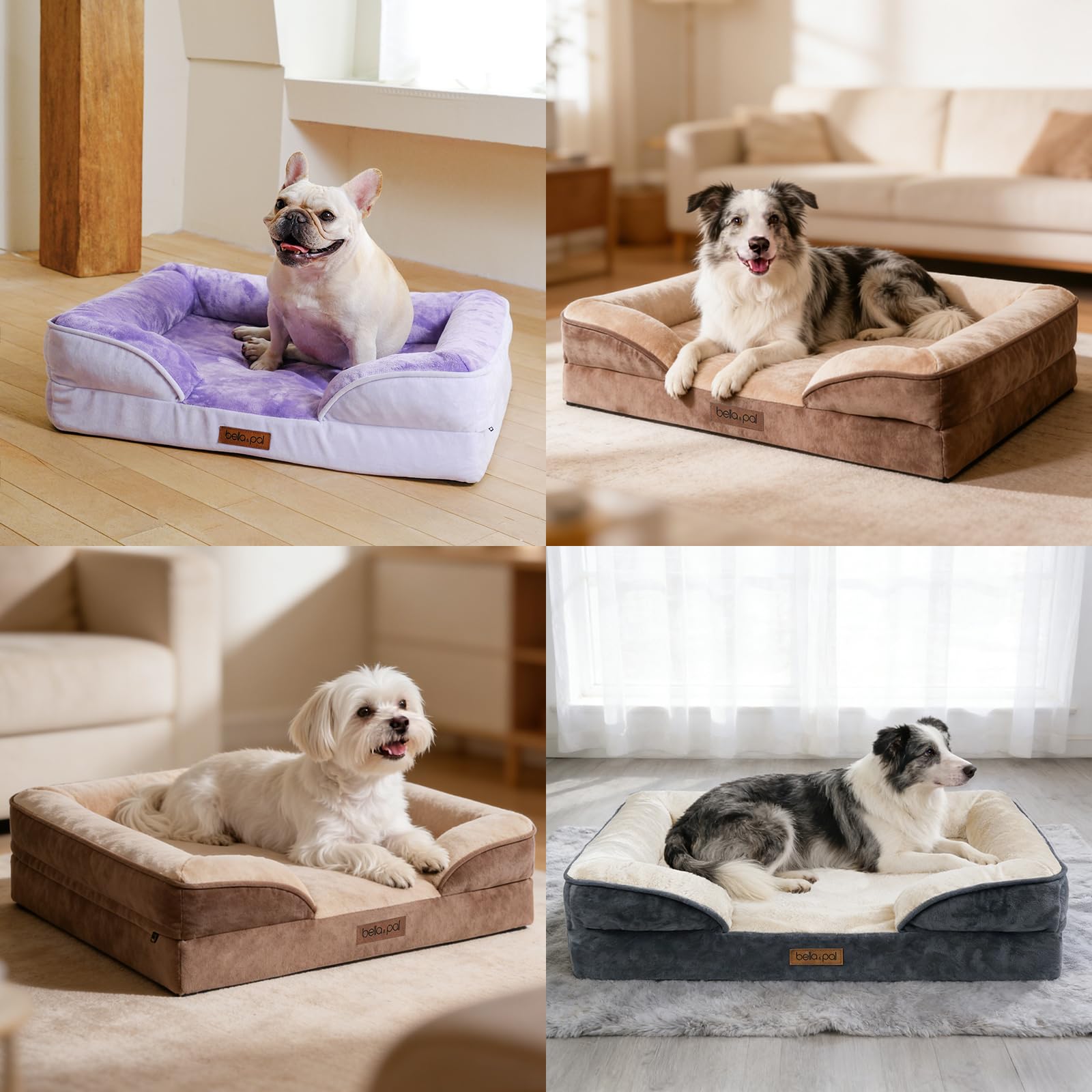 BELLA & PAL Sofá Perro Ortopédica, Cama para Perros Medianos/Grandes-Sin Montaje, Colchón Perro, Espuma Huevo | Forro Impermeable | Funda Desenfundable de Franela | Base Antideslizante, Violeta, L