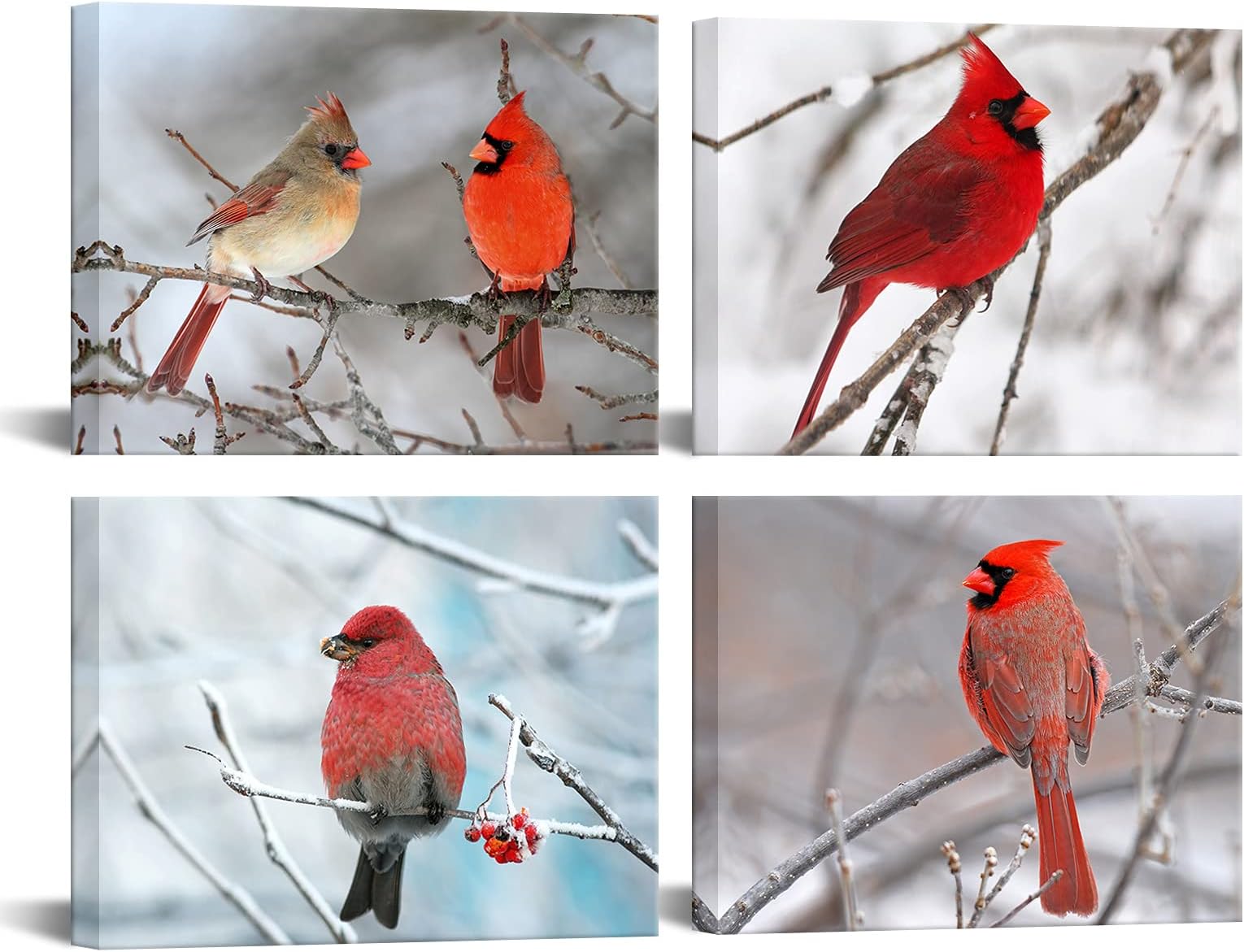 sechars - 4 Piece Modern Canvas Painting Wall Art Birds Red Cardinal on Snowy...