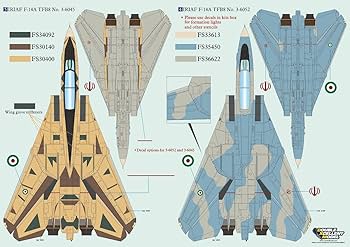 Amazon | DXMデカール 21-4157 1/48 アメリカ海軍 F-14A/B VF-84