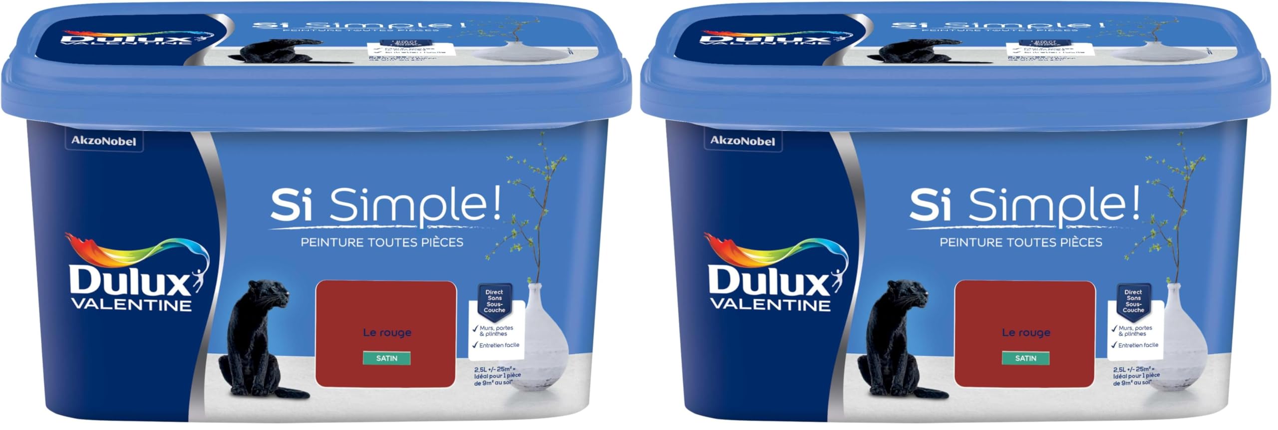 Peinture Dulux Valentine Le Rouge Satiné pour une finition parfaite des murs et plafonds