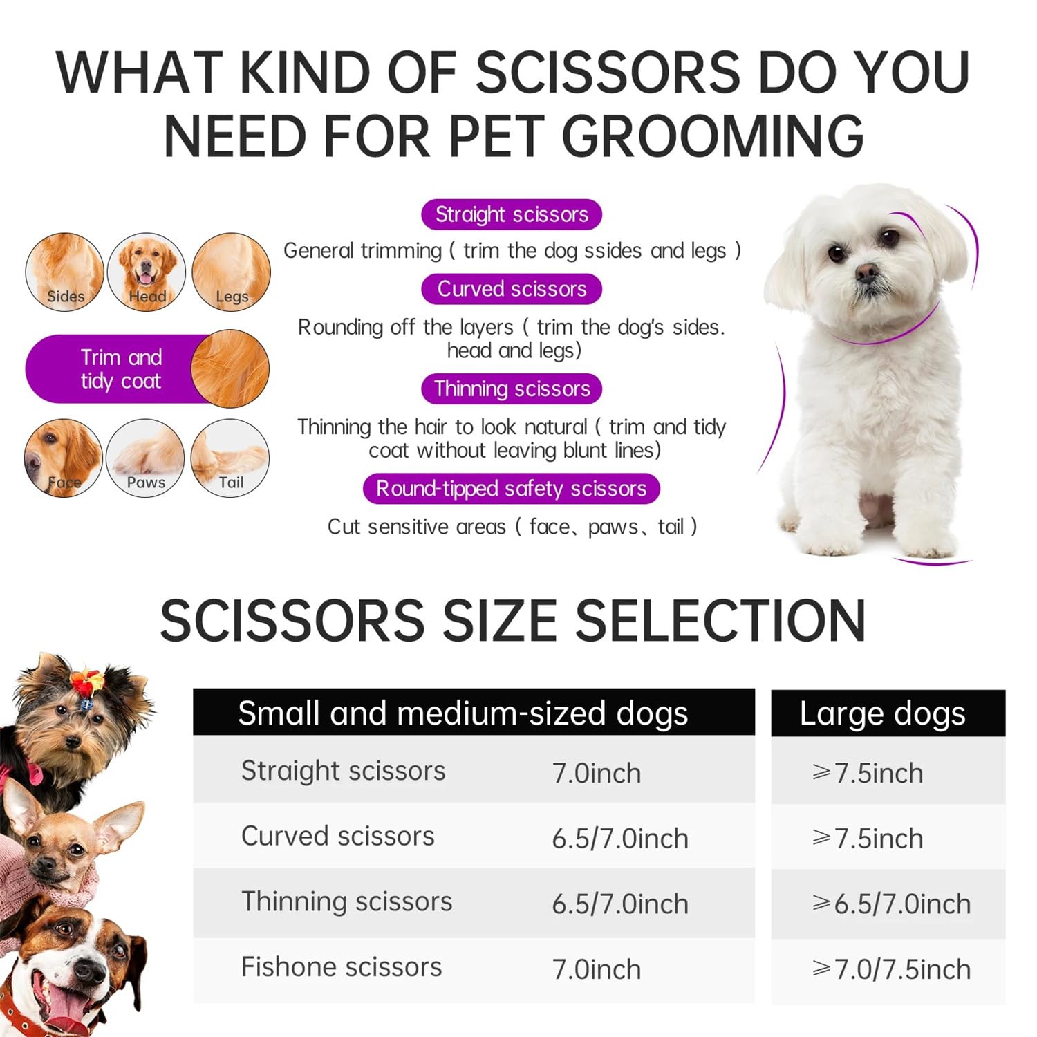 Ciseaux de toilettage 15 cm - Ciseaux incurvés professionnels - En acier inoxydable japonais - Pour chiens et chats - Réduction de 65 % d'épaisseur - Violet