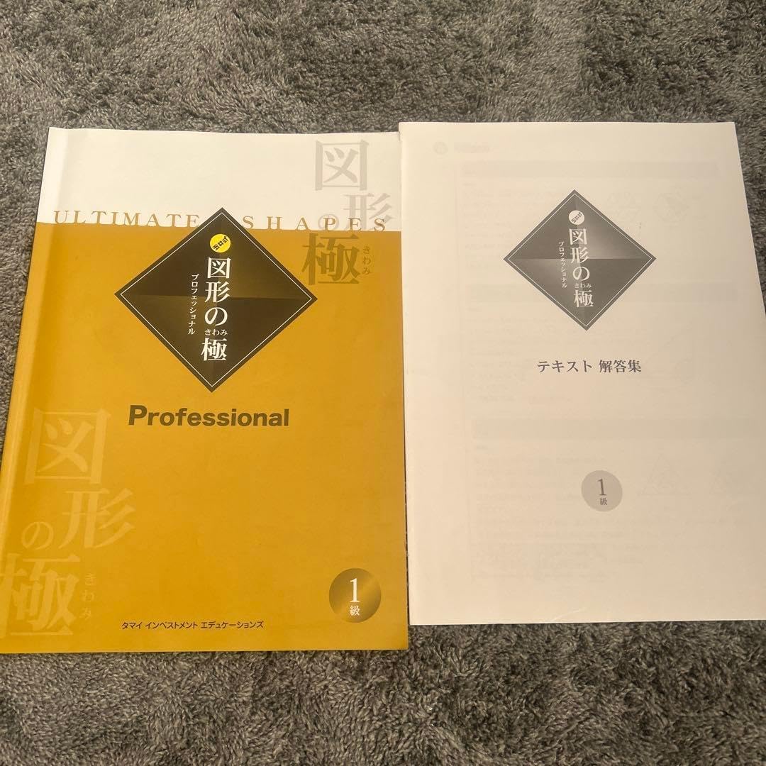 図形の極 1級 テストA〜G 進級テスト有り KIWAMI AAA+【数の