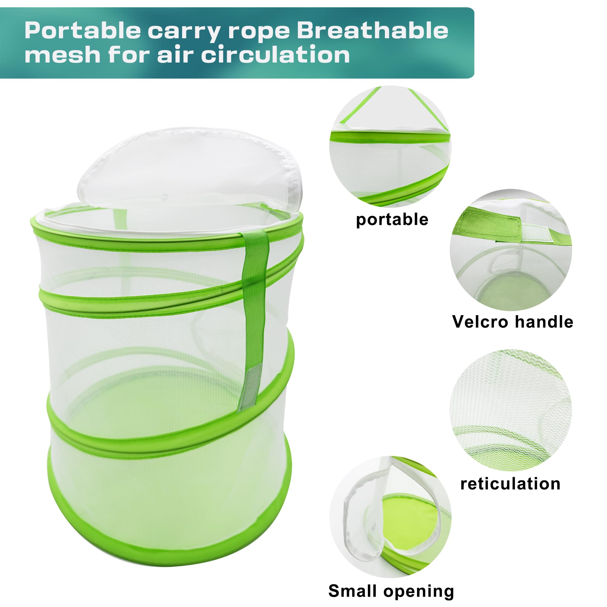 Snapklik.com : Butterfly Habitat Mesh Cage12