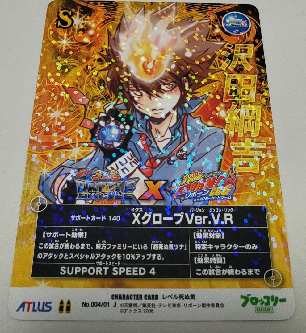 希少沢田綱吉ボンゴレⅠ世SKRリボーンカードCCGブロマイド