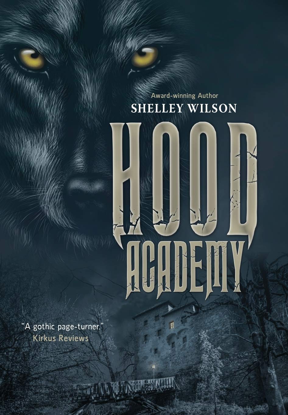 Buy Hood Academy โ BookShops.in