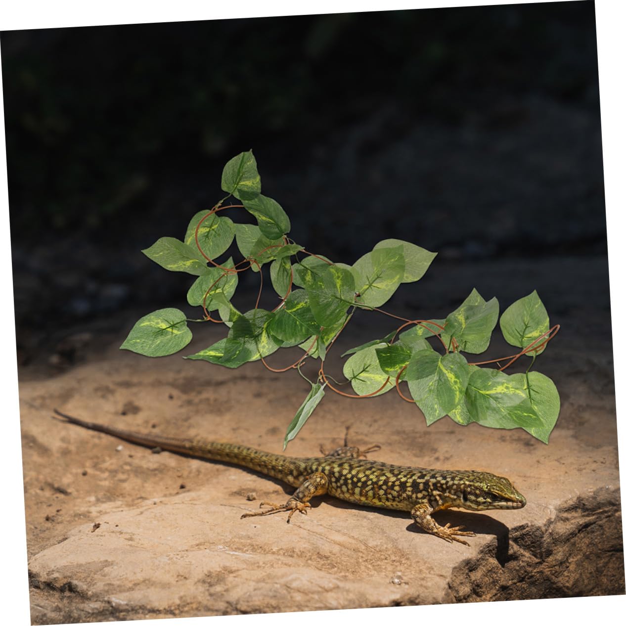 Toyvian 6piezas Decoración de Plantas para Reptiles para Terrarios Enredaderas Artificiales de Plástico para Decorar Terrarios de Serpientes Plantas Colgantes para Cajas de Reptiles