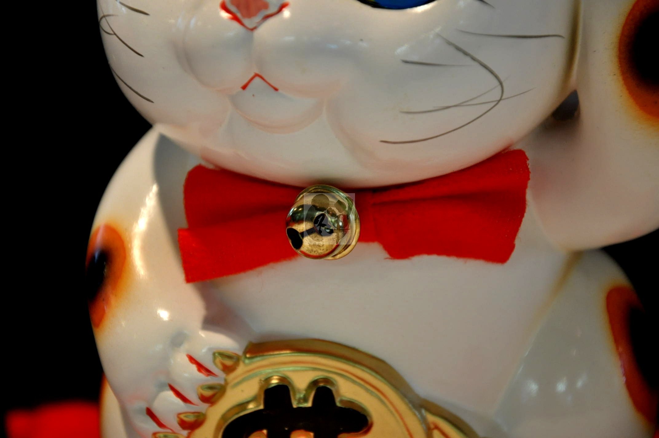 Amazon.co.jp: 常滑焼 招き猫 ドル猫白 6号 座布団付き [2866] 135/115