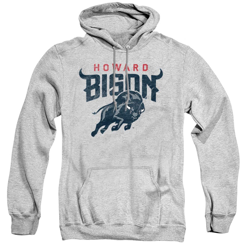 LOGOVISION Official Collegiate Distressed Primary Logo Adult Pullover Hoodie Collection — view 105