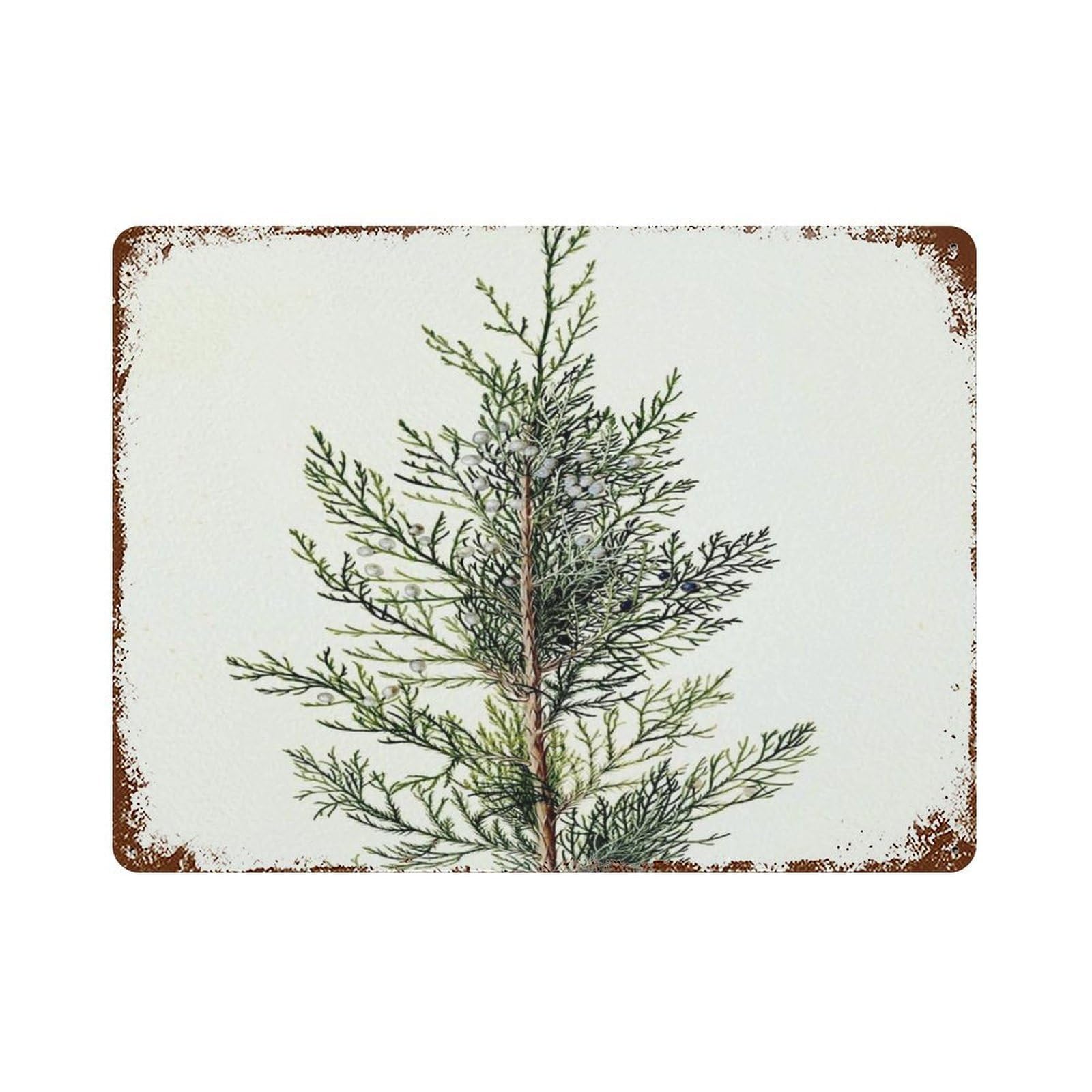 xiaoxiaoshen Christmas Trees, Snow Trees, Winter Foliage Art Wall Decor Art Metal Tin Poster Modern Home Decor Art Home Bar Shop Decorations Vintage Sign 30x40cm