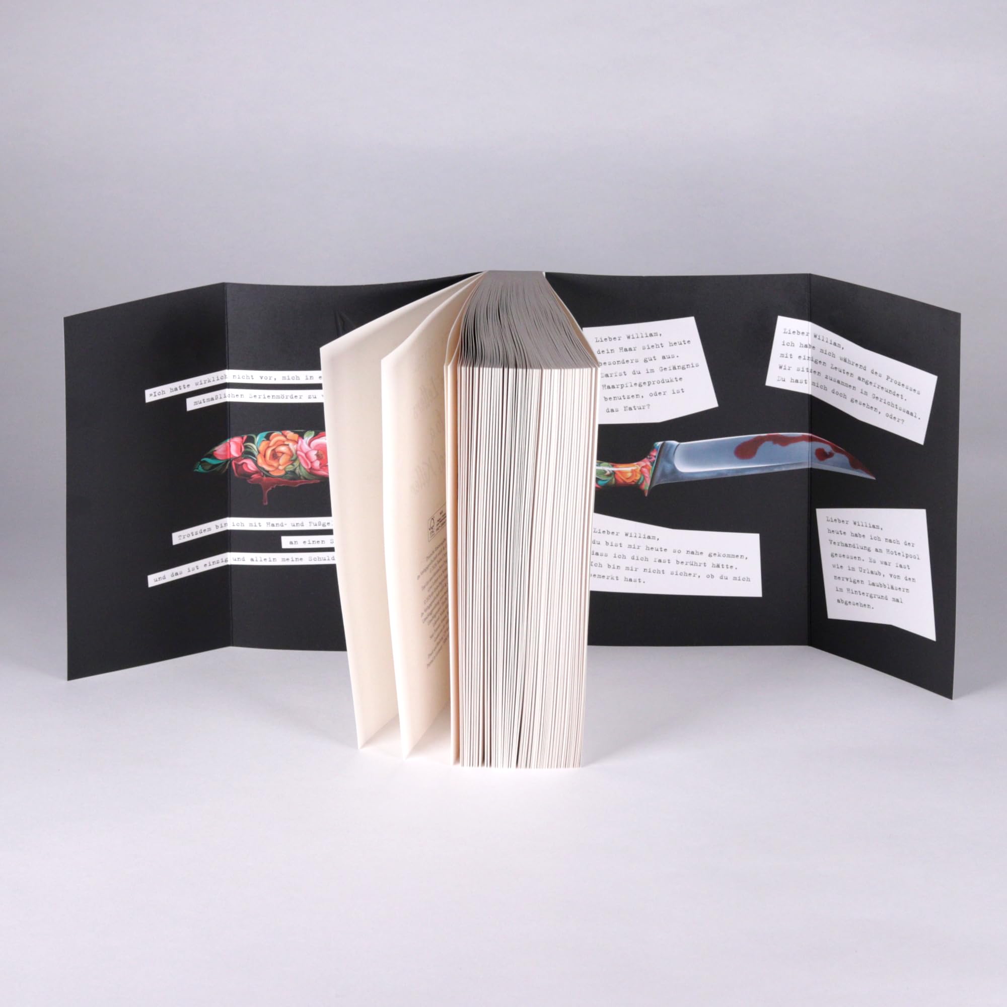 Love Letters to a Serial Killer: Thriller | Die ungewöhnlichste Liebesgeschichte des Jahres – herzzerreißend, abgründig, tödlich